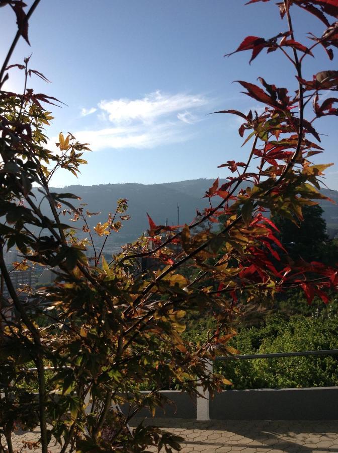 Douro Vally Inn Peso da Régua Exteriör bild